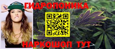 мет Бийск