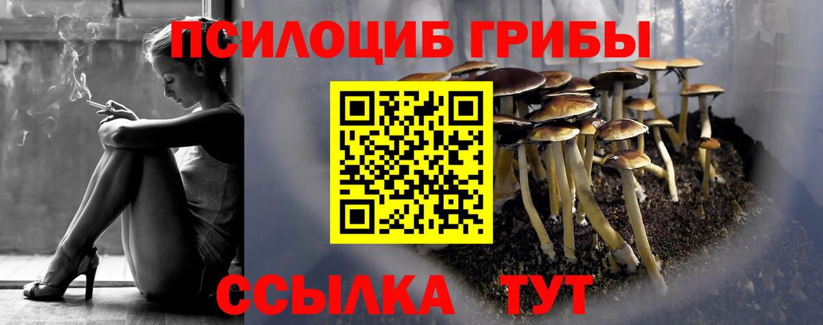 Псилоцибиновые грибы Cubensis Казань